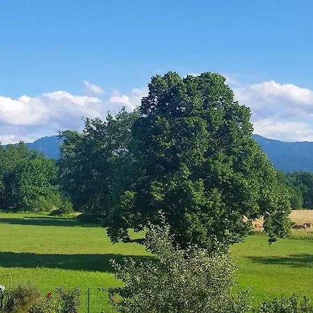 5 Sterne Mit Garten Und Bergblick In Chiemsee-naehe Lägenhet Übersee